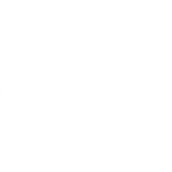 E-Bike QC